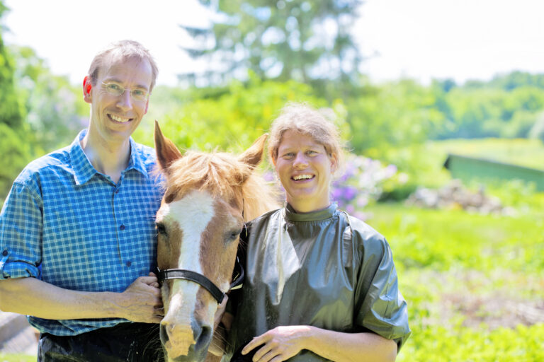 Veterinarians with horse