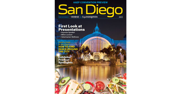 San-Diego-Preview