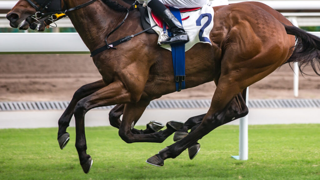 Thoroughbred racehorses on the track, might experience sudden cardiac death