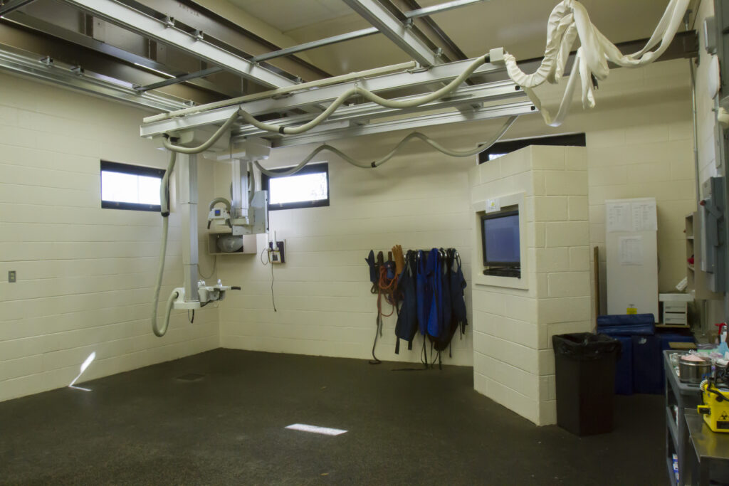 Overhead X-ray room at equine hospital
