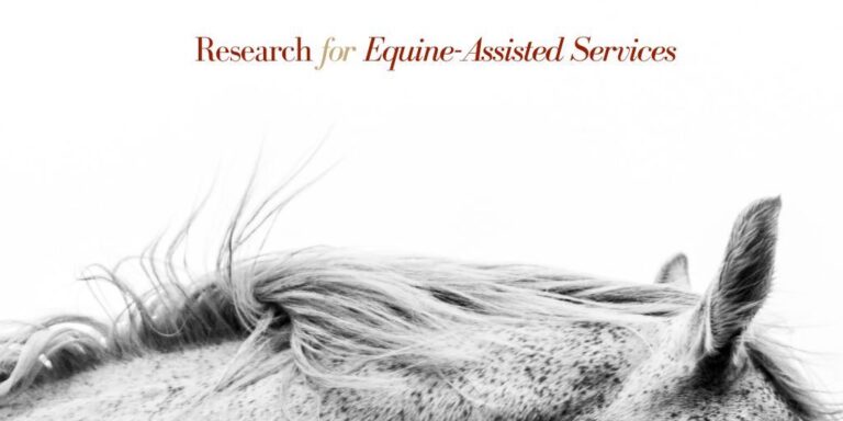 HS EATL ID research for riding, research for eas, gray horse, fleabitten  - 9