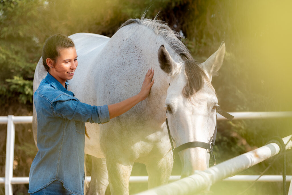 Young equine practitioner, confident equine practitioner. It can be challenging to have confidence in equine practice as a young veterinarian.