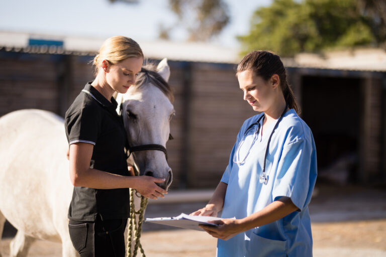 Female vet showing reports to jockey standing by horse