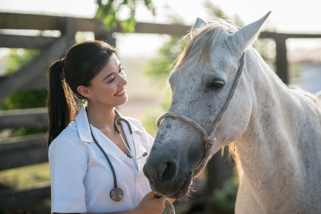 Smiling vet standing next to grey horse, practicing acceptance, experiencing greater joy. 