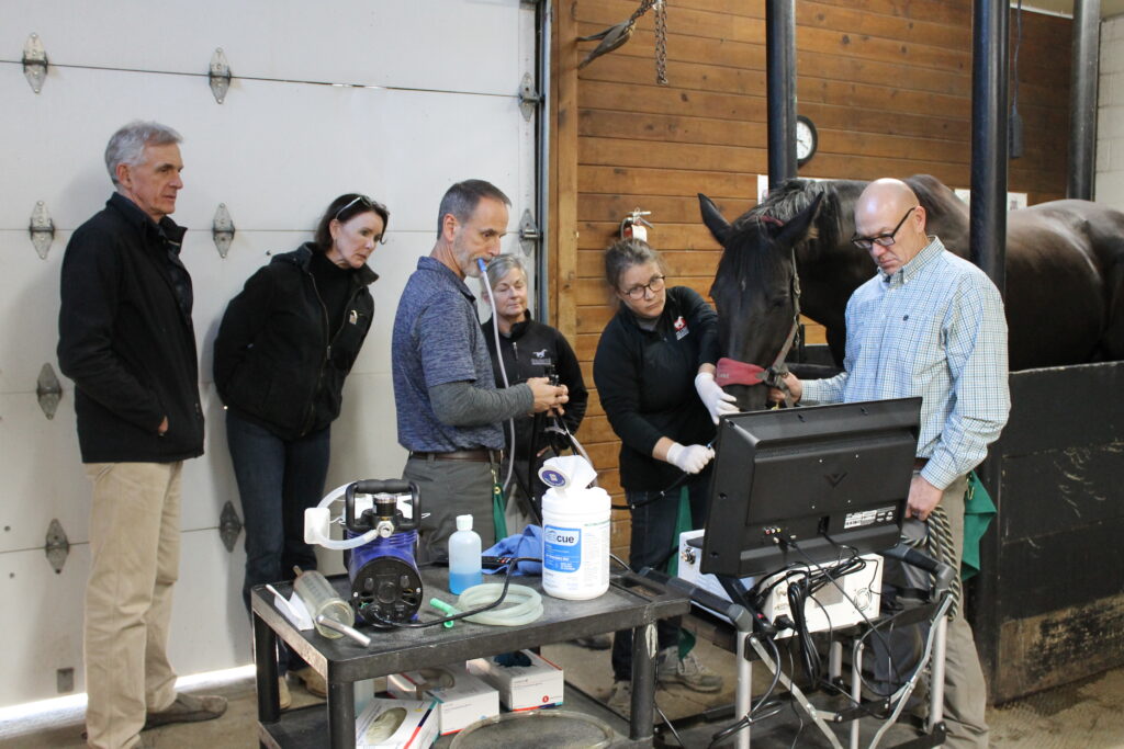 Dr. Hoyt Cheramie demonstrates how to perform gastroscopy exam to vets at Stillwater Equine Veterinary Clinic. 