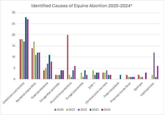 equine abortions 2020-2024 foal crops