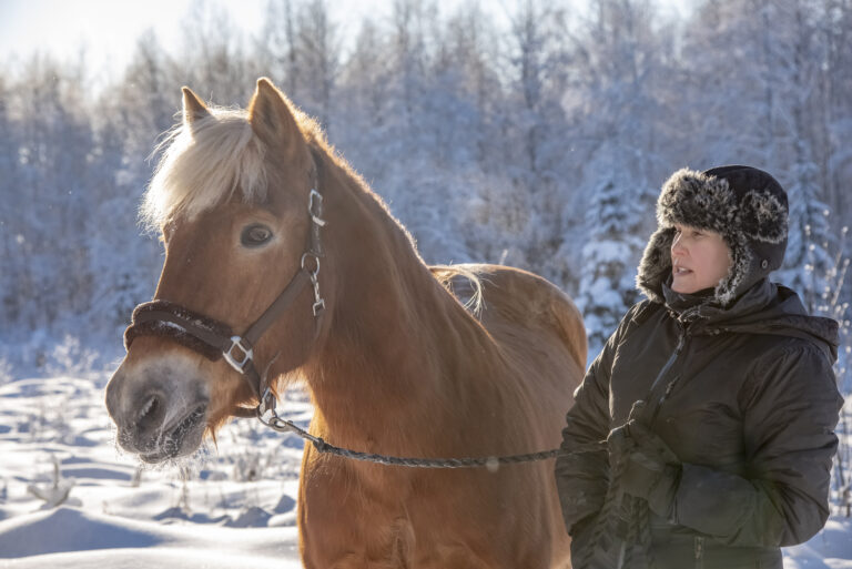 Horse and woman in winter
