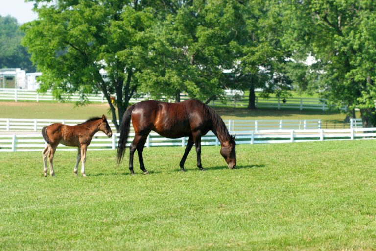 Mom and Child