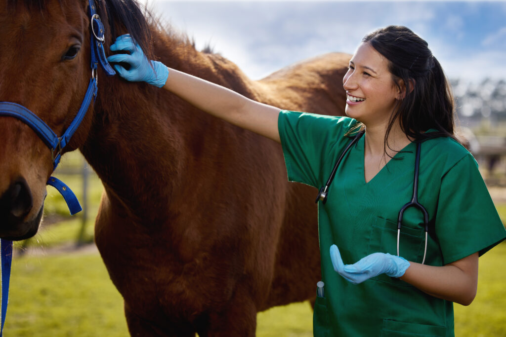 Equine veterinary intern, feeling happy and not experiencing burnout due to wellness efforts. 