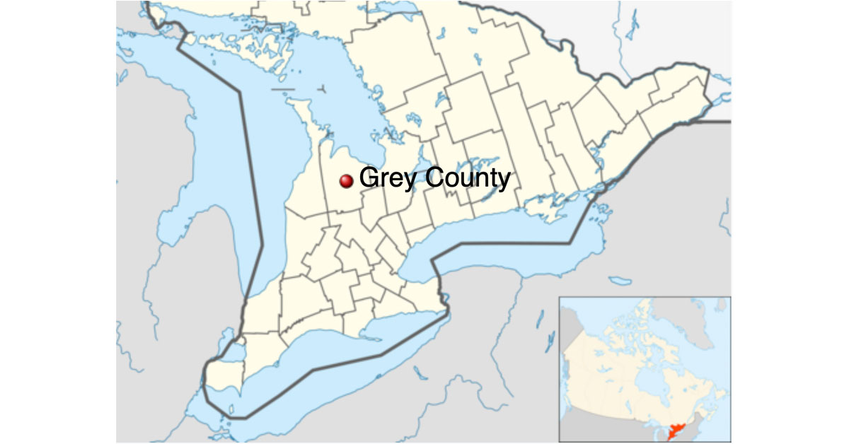 A Warmblood broodmare in Grey County, Ontario, was confirmed positive for EHV-1 after arriving to the farm from a sale in Illinois. 