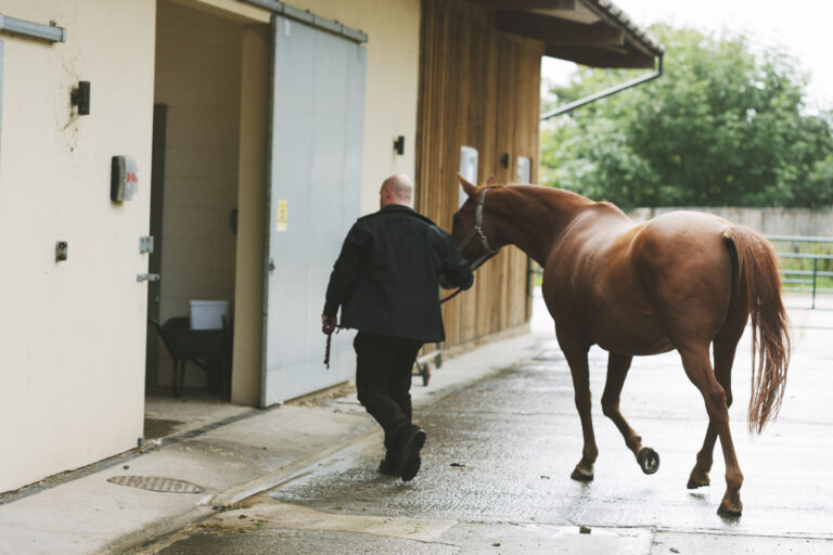 Large animal Veterinary Hospital