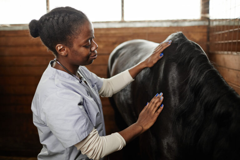 Black Young Woman Veterinarian