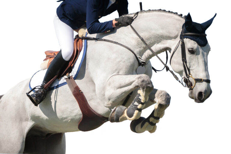 Horse Jumping, Equestrian Sports, Show Jumping themed photo