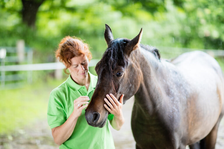 Veterinarian caring about horse