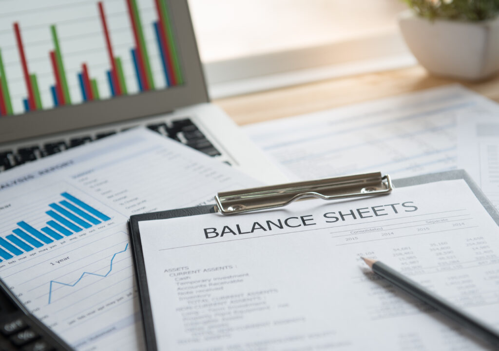 Balance sheet, a type of financial statement