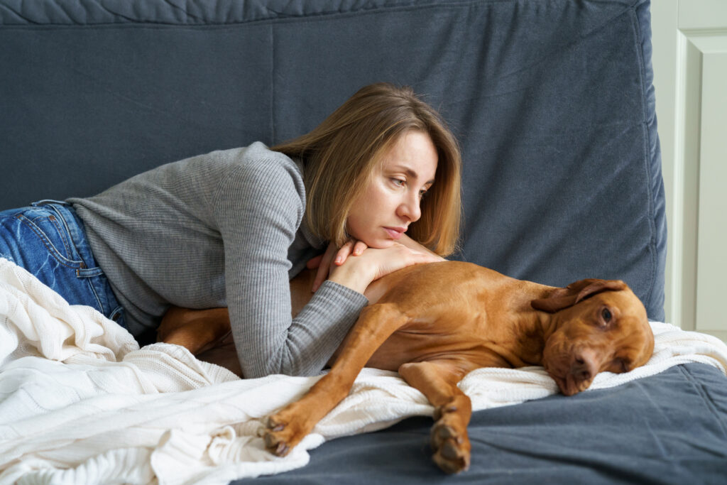 Mid-career, mid-life equine practitioner, experiencing grief with dog. 