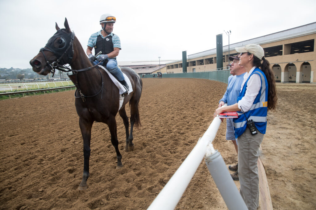 Alina Vale, the regulatory veterinarian, monitoring a racehorse during training