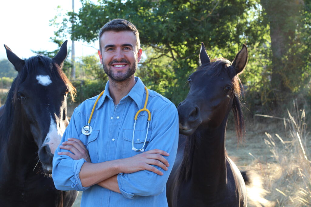 An equine veterinarian in equine practice
