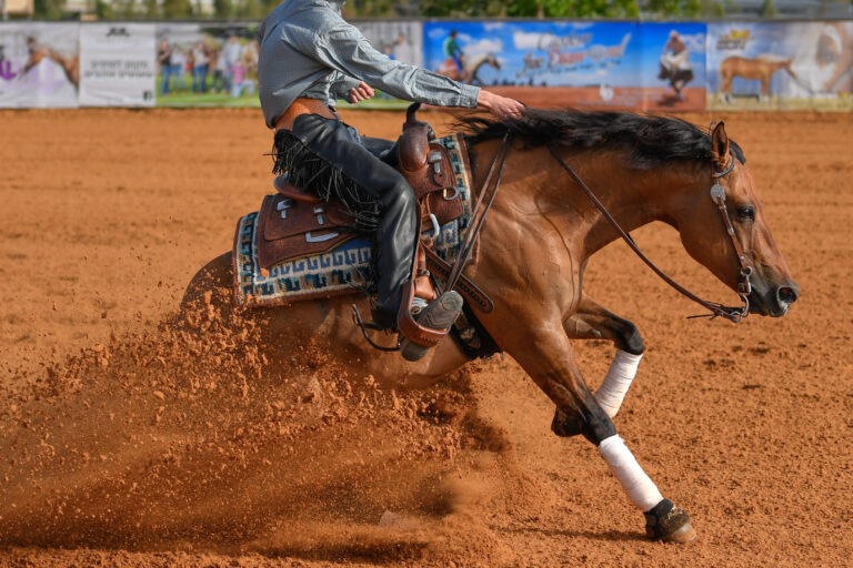 The side view of a rider in jeans, cowboy chaps and checkered shirt on a reining horse slides to a stop in the red clay an arena
