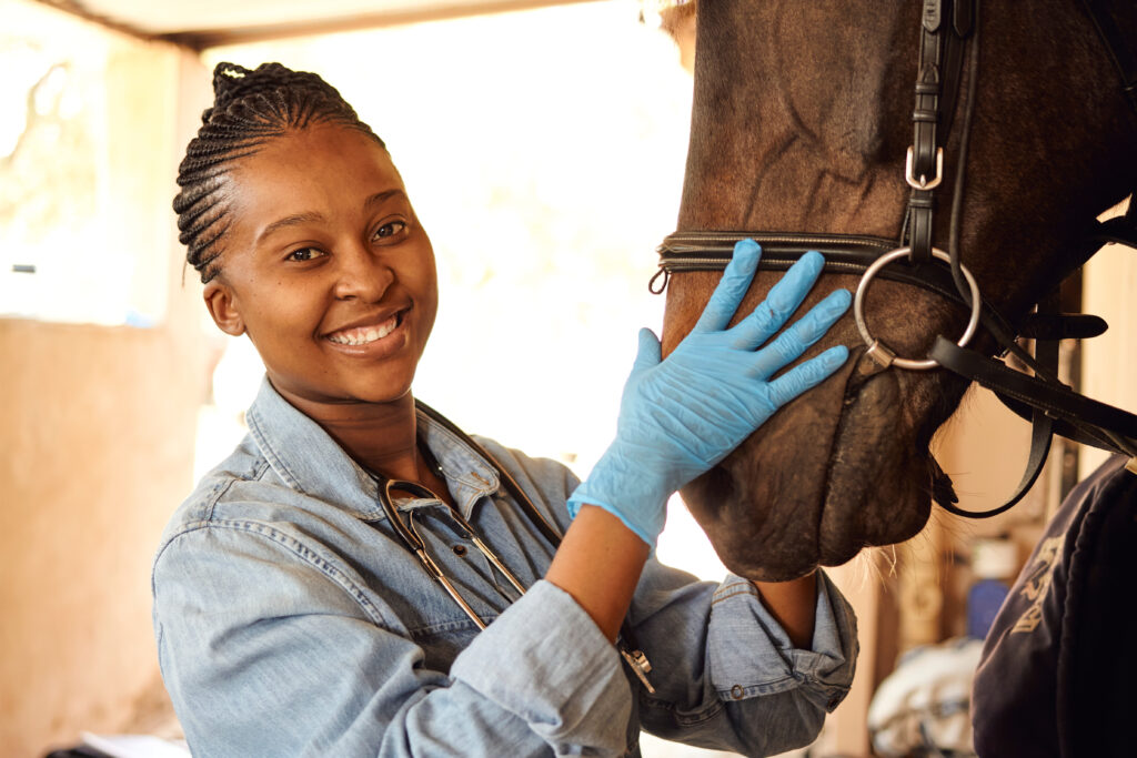 Equine veterinary intern