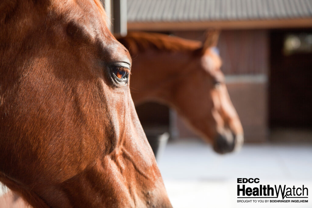 Two horses in Indiana, located in Spencer and Marshall counties, recently tested positive for WNV. 