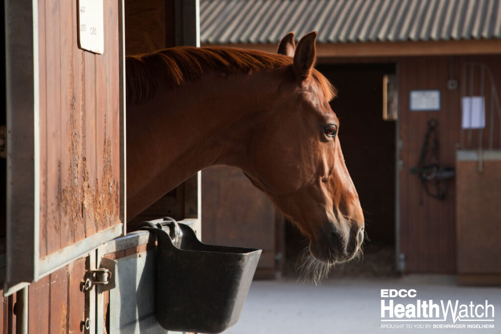 Three unvaccinated horses in Weber County, Utah, recently tested positive for West Nile virus.