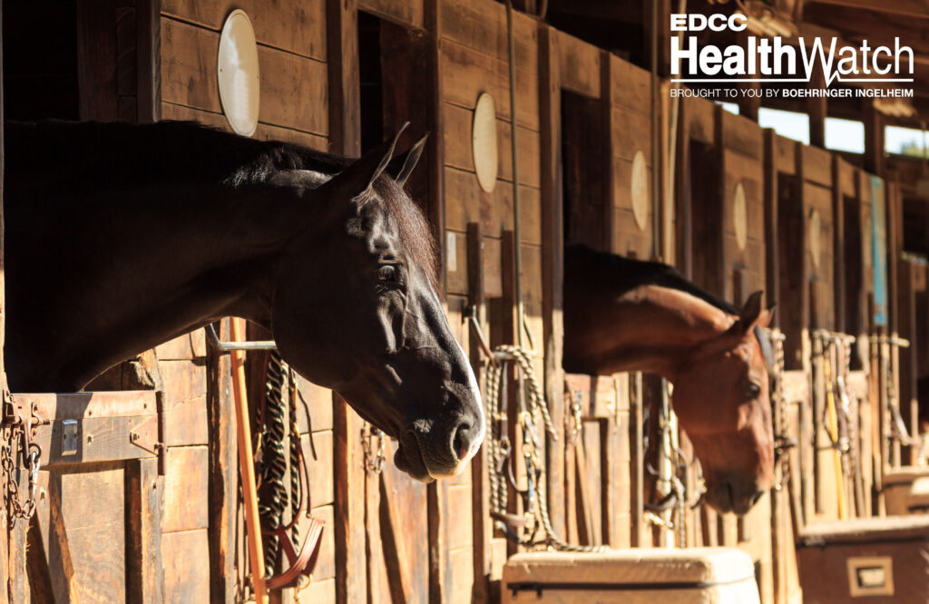 An unvaccinated Percheron gelding in Logan County, Kentucky, recently tested positive for West Nile virus.      