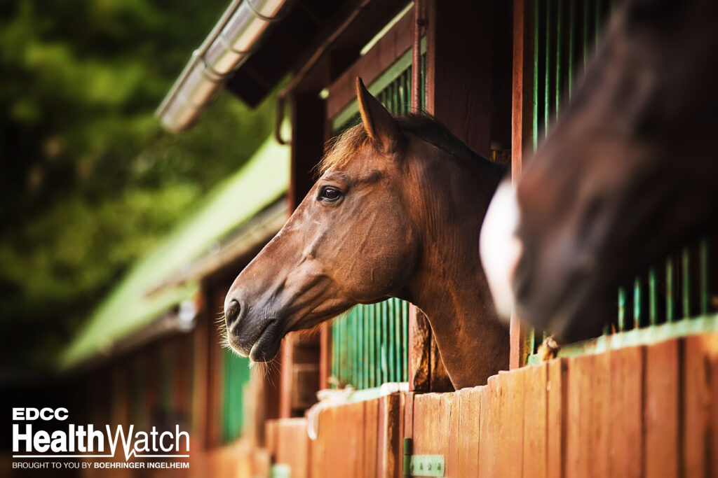 An unvaccinated Standardbred mare in LaGrange County, Indiana, recently tested positive for WNV.  