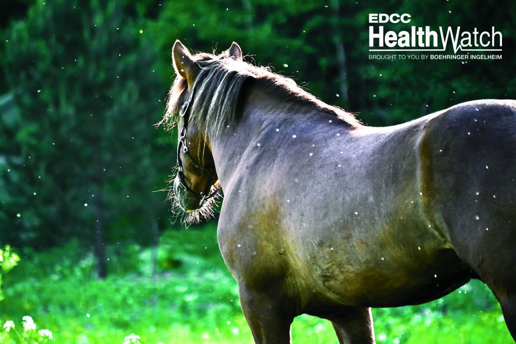 One horse in Pierce County, Georgia, recently tested positive for West Nile virus.