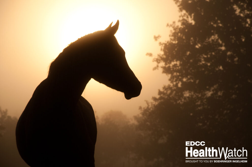An under-vaccinated horse in Tuscola County, Michigan, recently tested positive for WNV and was euthanized. 