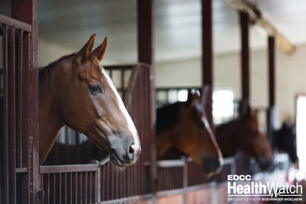 Twelve horses in Pennsylvania, located in Chester, Juniata, Lancaster, and Union counties, recently tested positive for WNV.