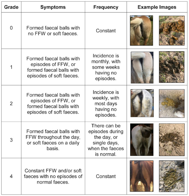 Free fecal water syndrome symptom severity scale