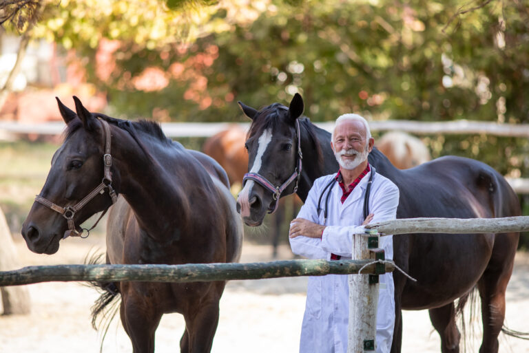 Veterinarian with horses on ranch