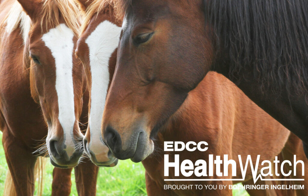 Three horses in Meadow Lake No. 588, Saskatchewan, have tested positive for EIA. 