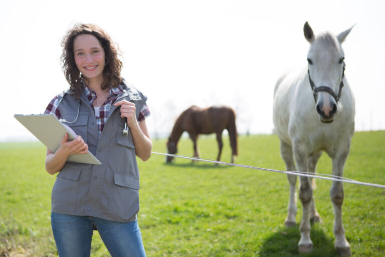 Portrait of a young attractive veterinary in fields with horse