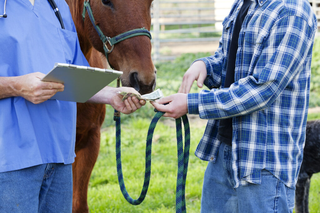 Equine practitioners can safeguard their financial futures with retirement savings, insurance, investments, and emergency funds. 