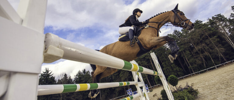 Jump on a horse over the hurdle