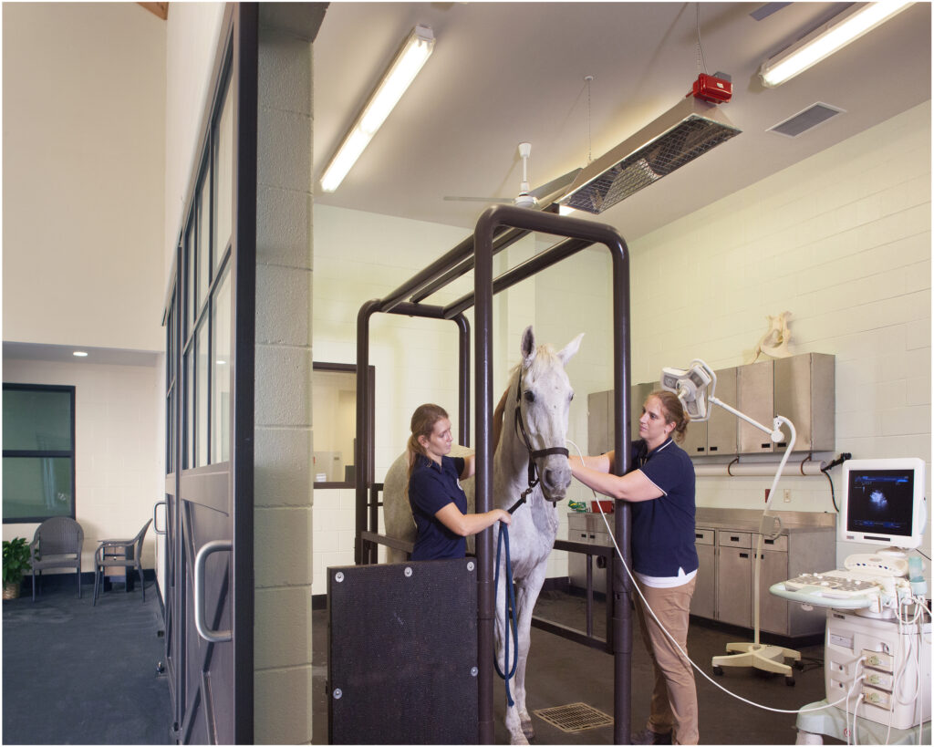The standing surgery suite at Tryon Equine Hospital was designed for horses to enter through one door, move into and through the stocks, and exit the room through a second door in the clinic.