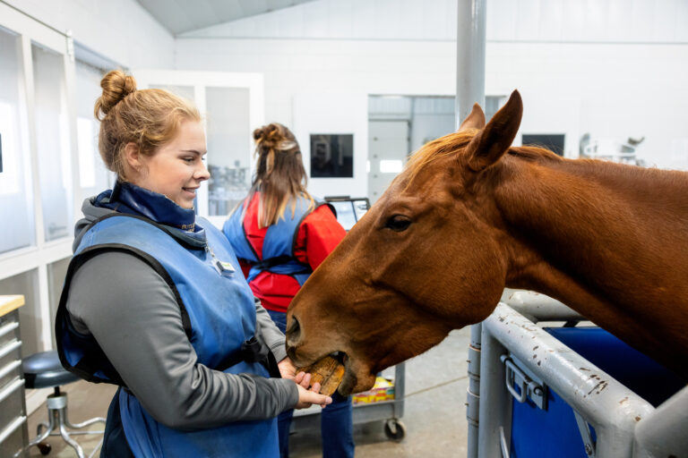 Veterinary