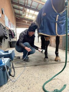 Dr. Vecchione doing a workup on a horse.