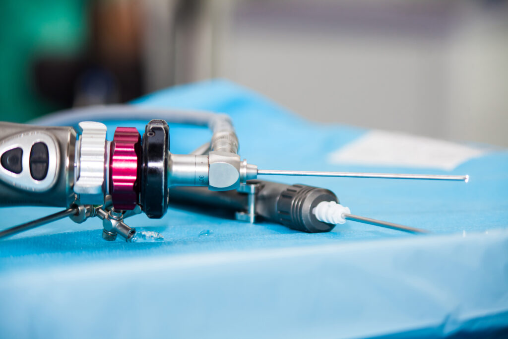 Arthroscope, used to perform arthroscopy in horses.