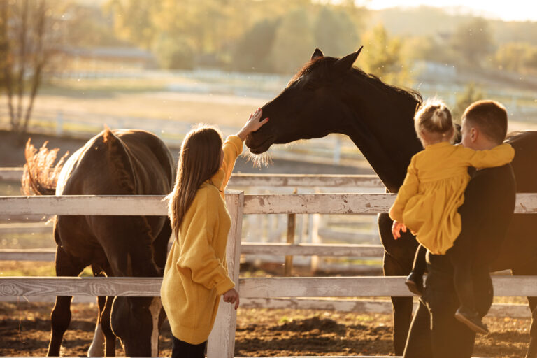 young parents walk with little daughter near horses in autumn park. Dad and mom holding baby girl