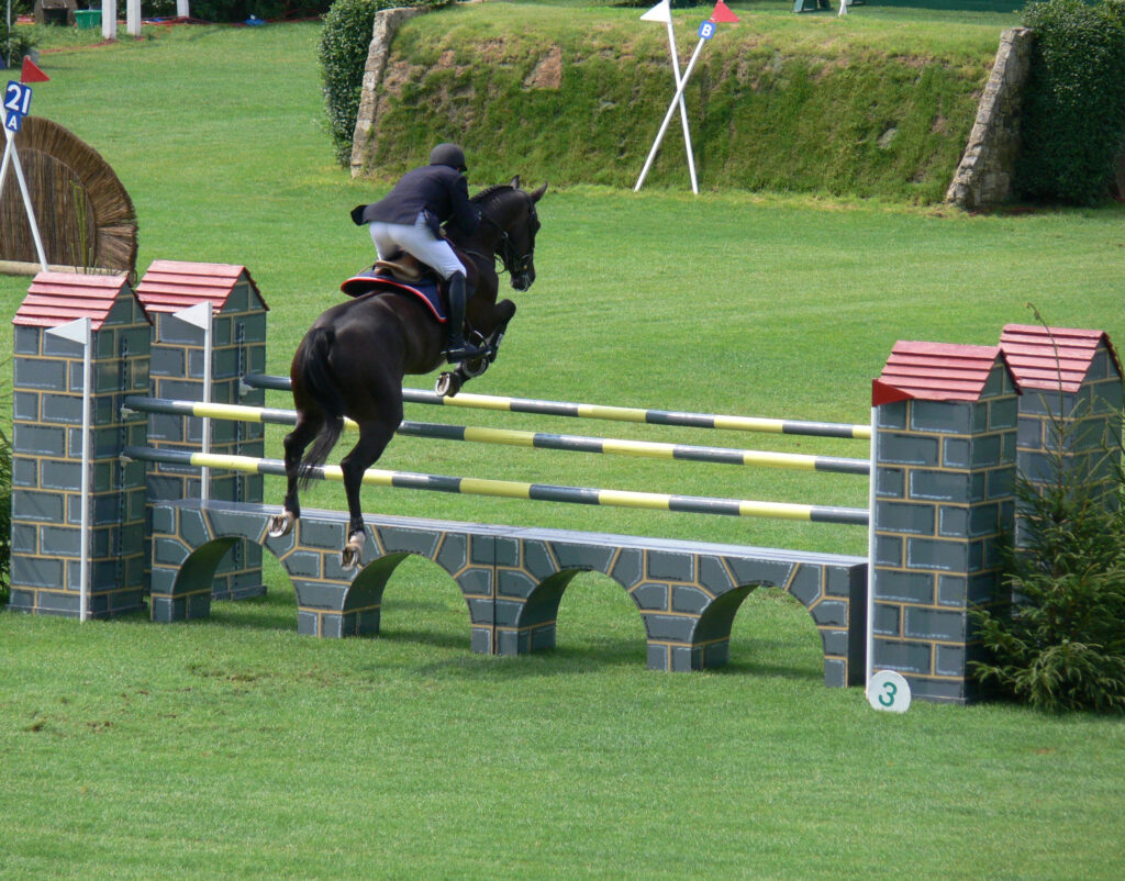 FEI showjumping horse, clientele for FEI permitted treating veterinarian (PTV)