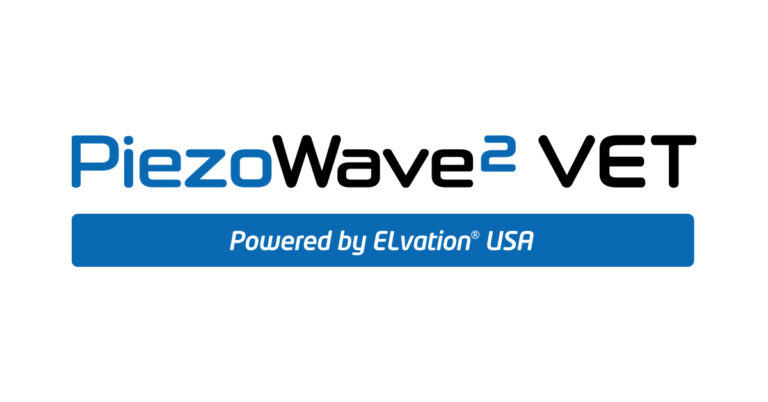 PiezoWabve
