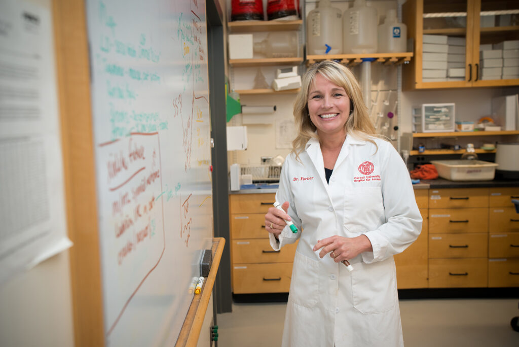 Dr. Lisa Fortier, who is delivering the AAEP Milne Lecture this year. 