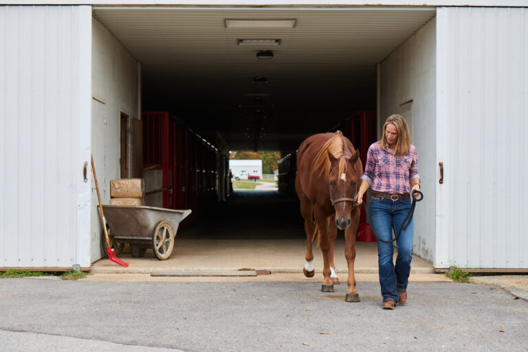 Purina Farm 5 – Andrea Brueggemann