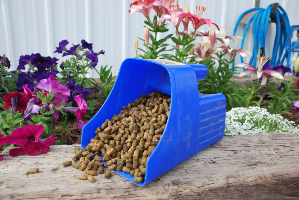 Extruded horse feed