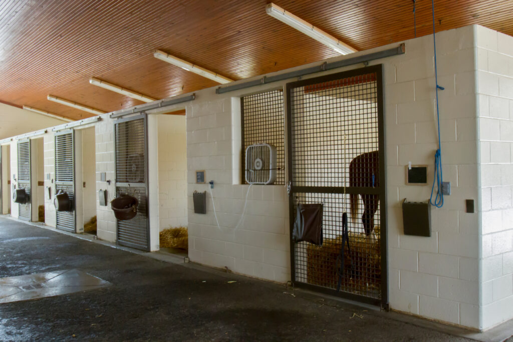 Sick horses isolating in equine hospital for biosecurity.