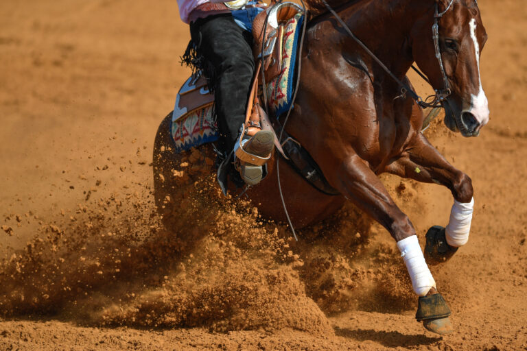 The side view of a rider in jeans, cowboy chaps and checkered shirt on a reining horse slides to a stop in the red clay an arena
