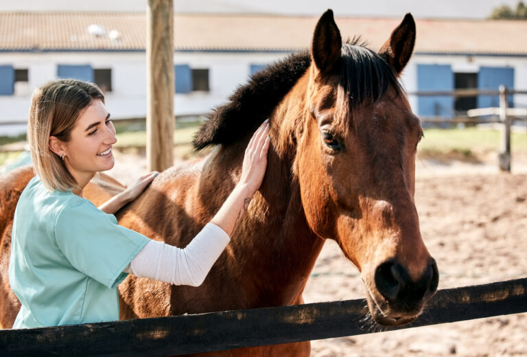 Horse doctor, care and smile at farm for health, care or happy with love for animal in nature